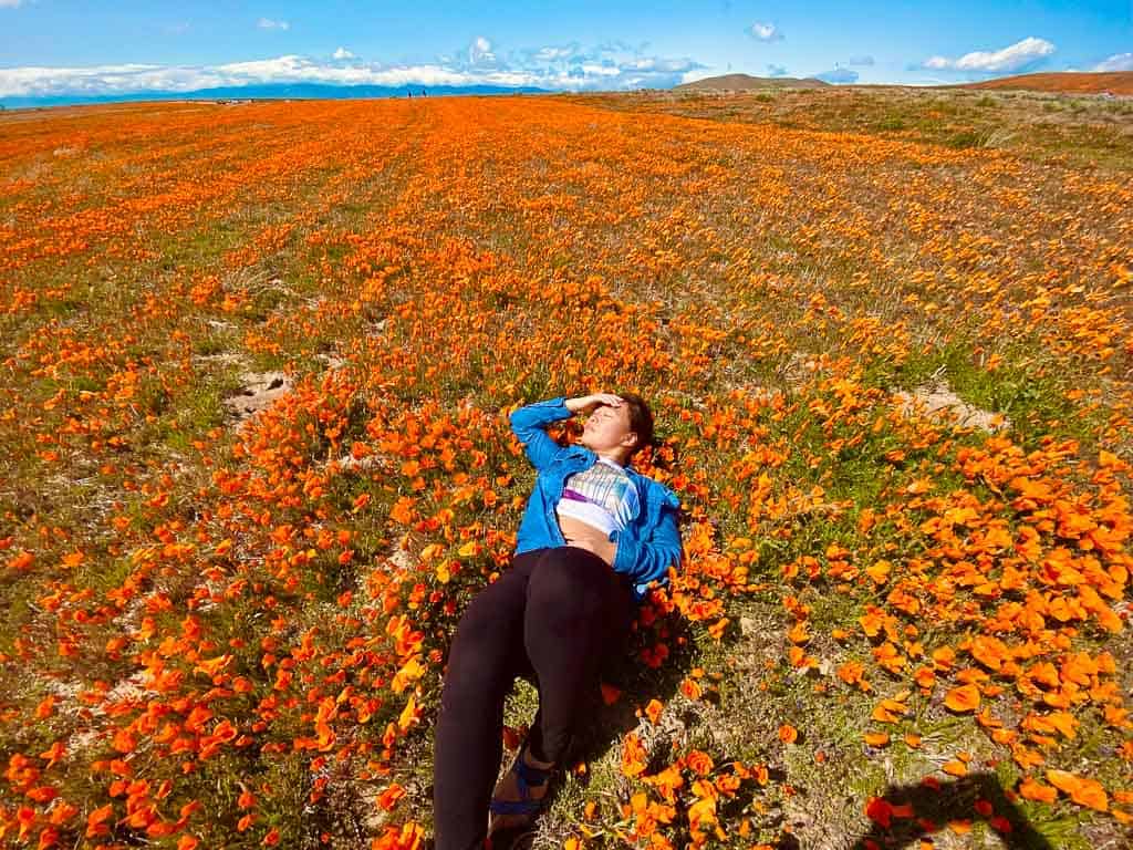 nomadicated in a white shirt laying on the poppies of antelope valley poppy reserve