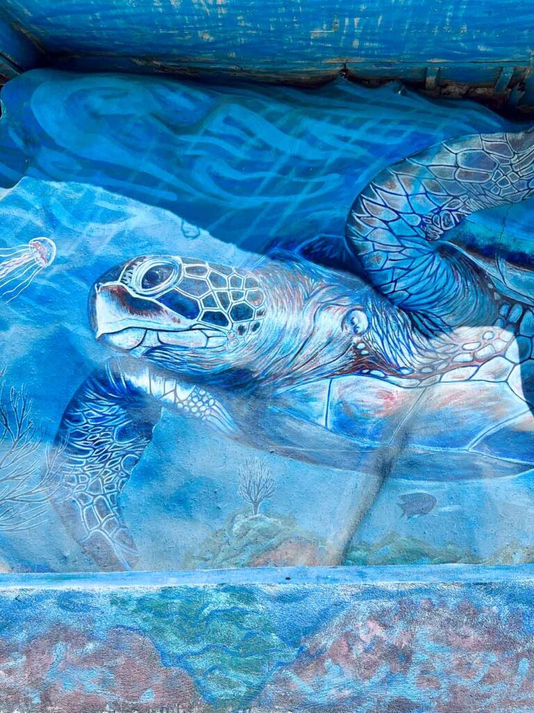 Blue Graffiti Turtle in Laguna de Manialtepec, one of the best things to do in puerto escondido oaxaca