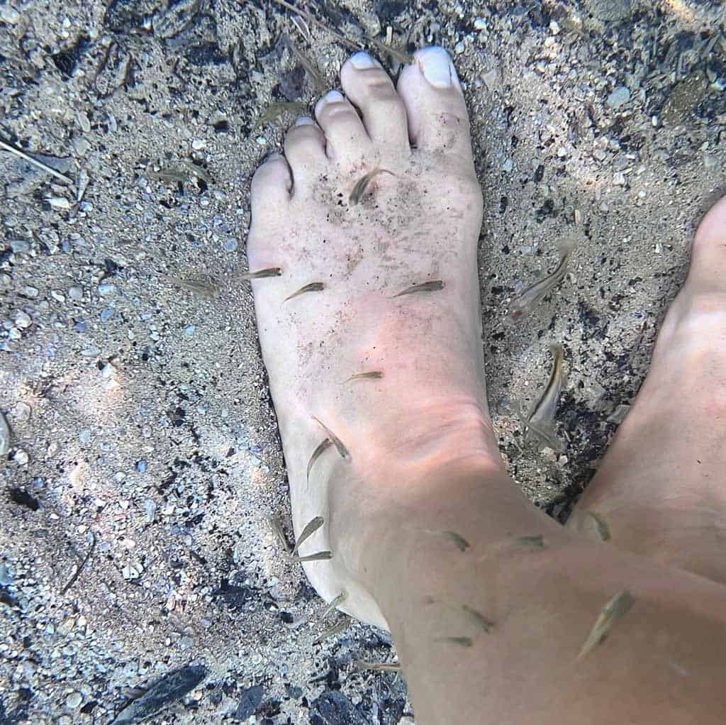 Small Fishes nibbling on foot in the huatulco waterfalls
