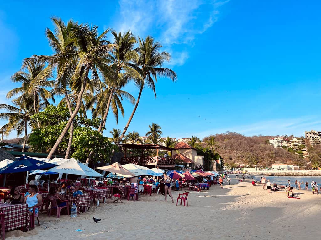 Palm Tree Lined Beach in Huatulco