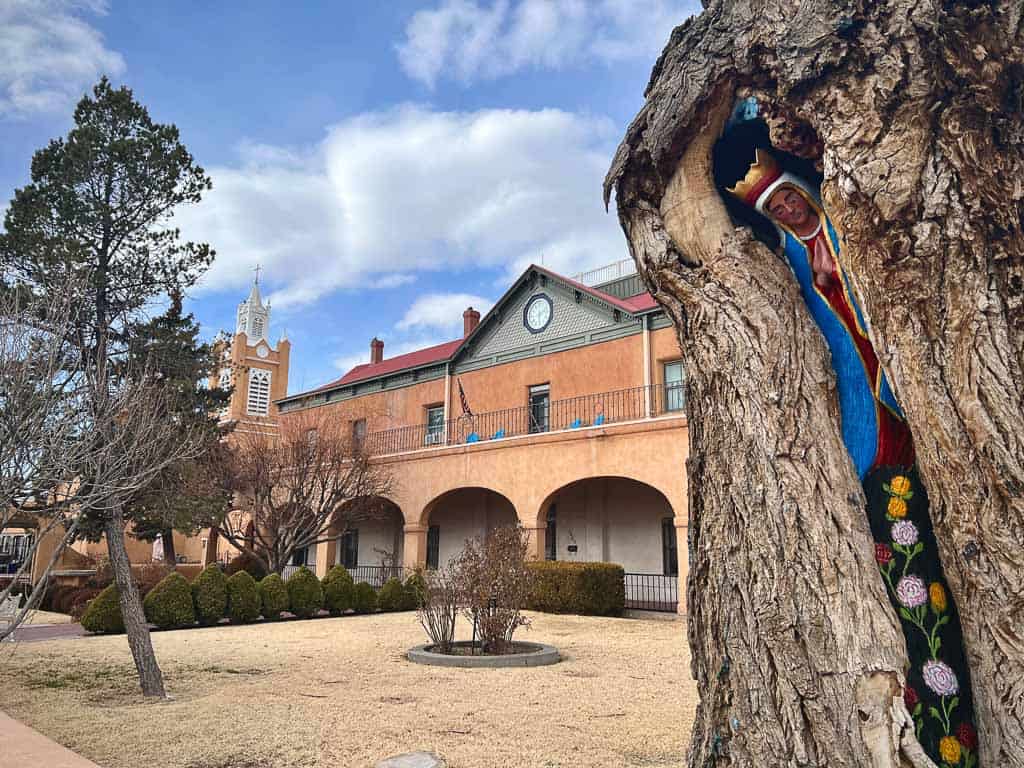 Hidden Sculpture in Church Tree in Northern New Mexico