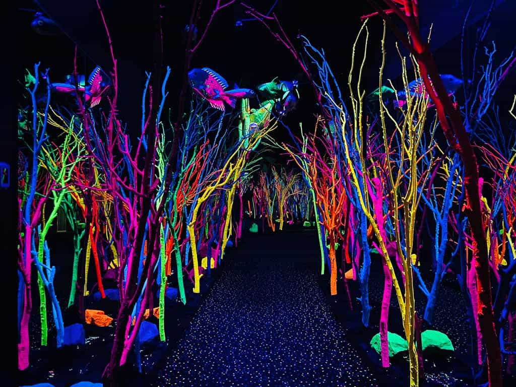 santa fe house of eternal return by meow wolf colorful forest