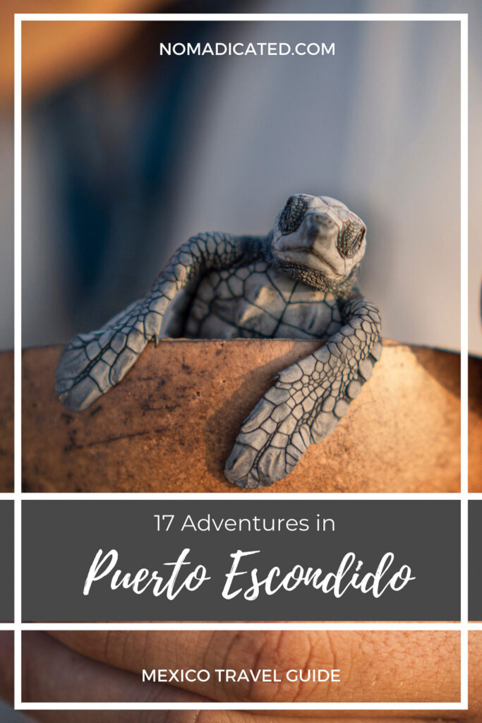 things to do in puerto escondido oaxaca mexico pinterest design