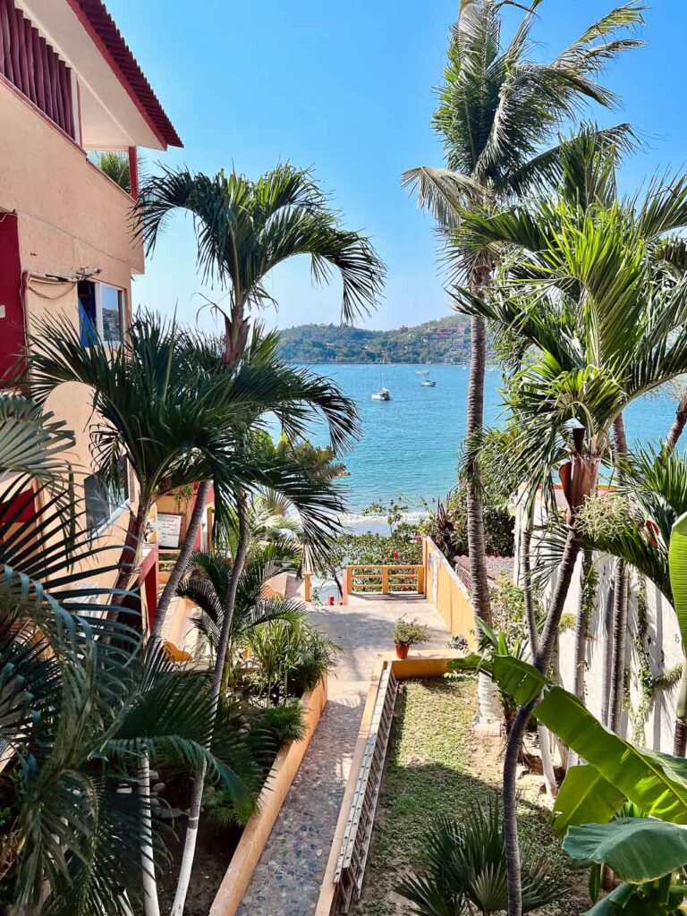 Palm Trees and Beach at Hotel Irma, Zihuatanejo