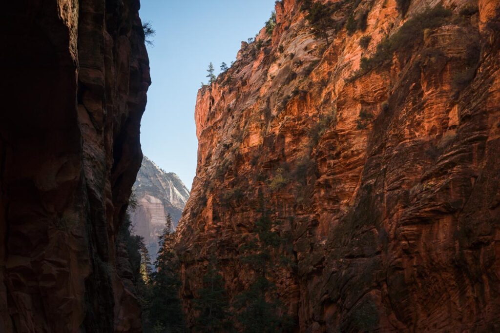 The setting sun on the monoliths of Zion National Park