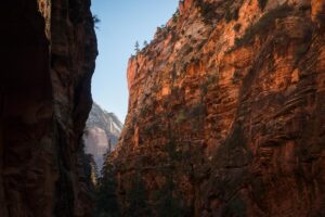 zion national park one of the best places to hike near kanab utah