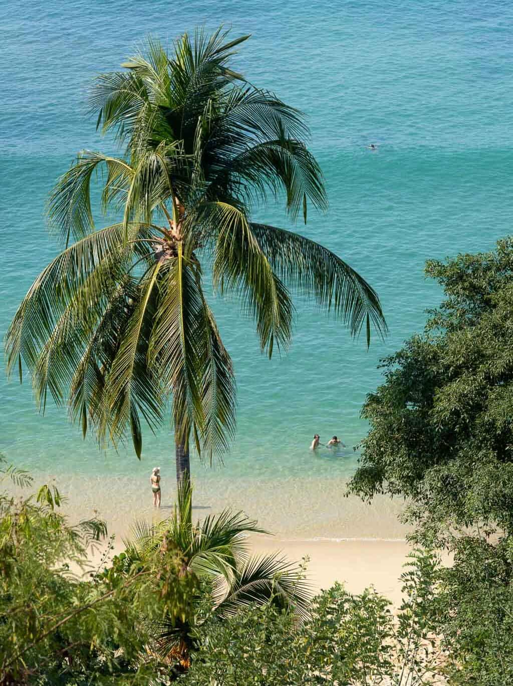 Playa Carrizalillo Beach Palm Tree - Puerto Escondido, Oaxaca, Mexico
