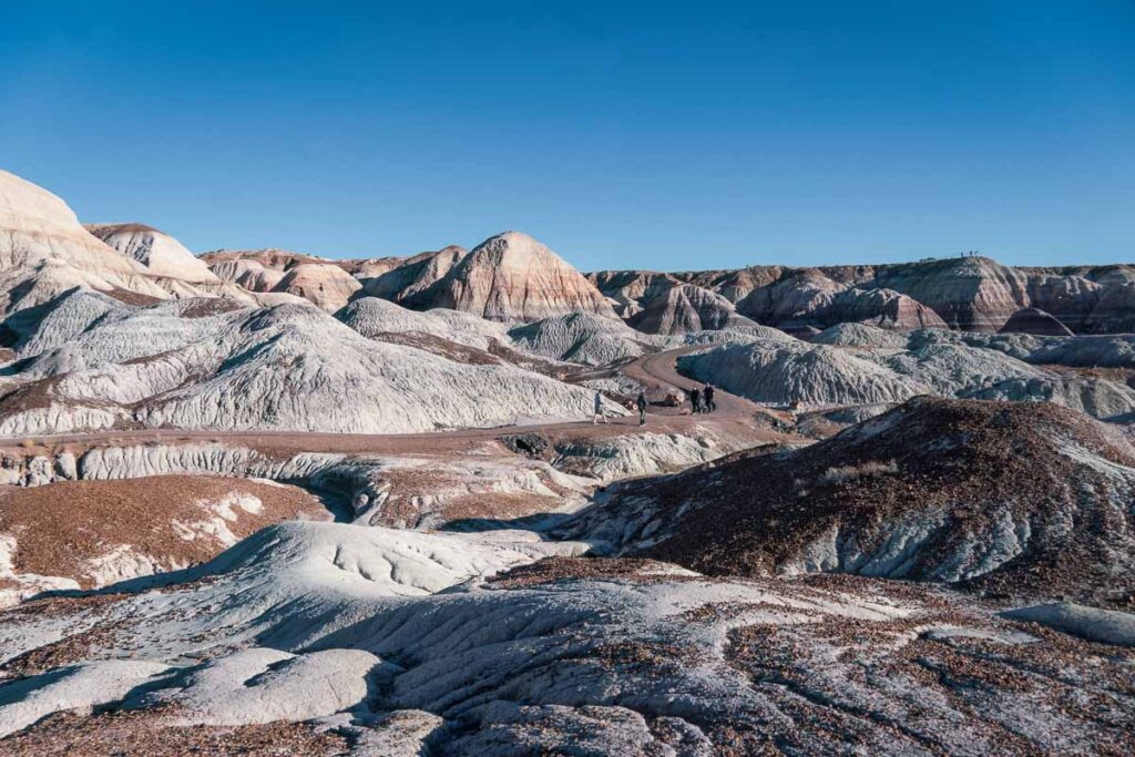 Badlands of Blue Mesa in Petrified Forest National Park