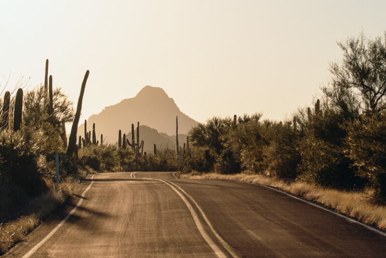 Southern Arizona Road Trip Guide: 17 Detour-Worthy Things to Do