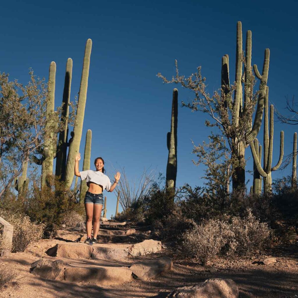 Girl in Saguaro Cactus Forest one of the coolest things to see in a Southern Arizona road trip