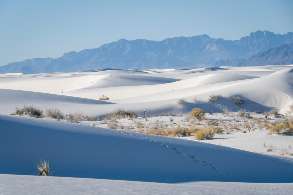 softer morning contrast  for white sands national park new mexico photography