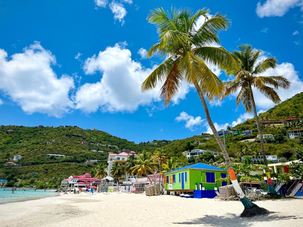 Cane garden beach palm trees great for a bvi day trip to tortola