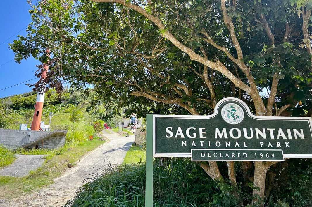 sage mountain national park in tortola for hiking