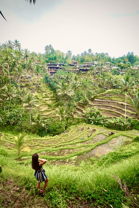 How To See Tegalalang Rice Terrace Bali A No Fomo Indonesia Guide