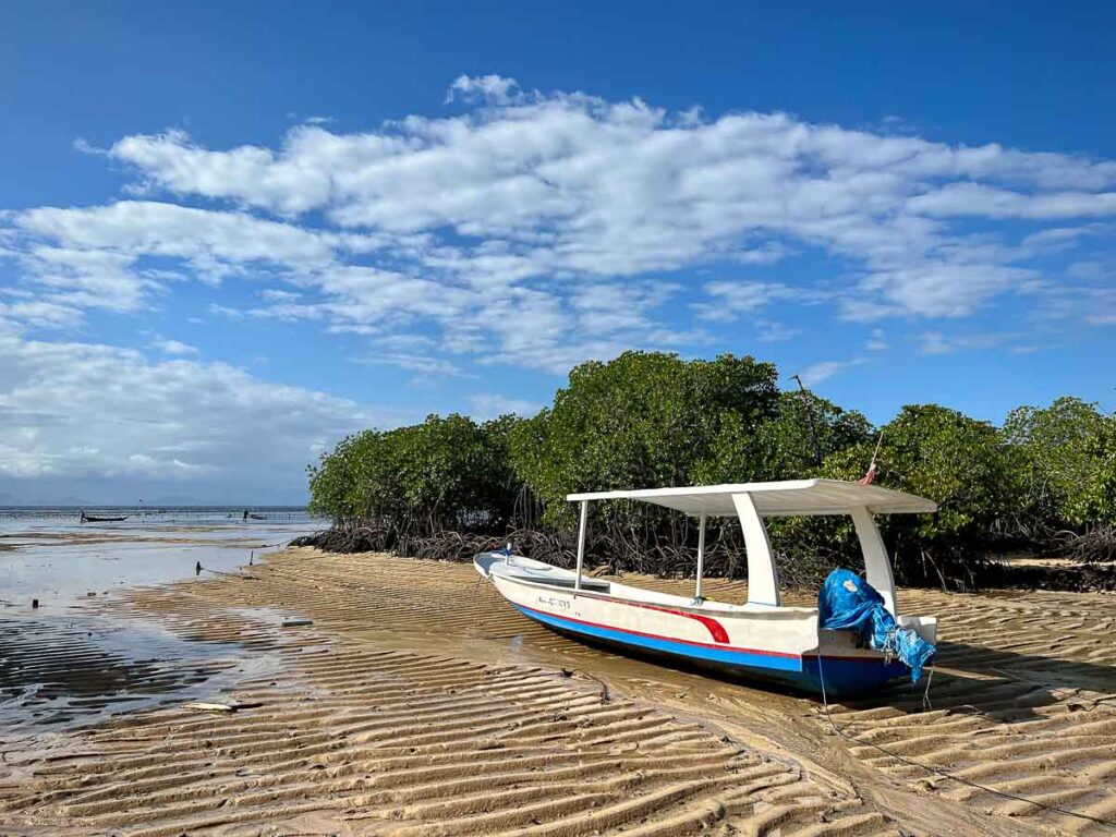 take a mangrove tour on the northeast side of nusa lembongan