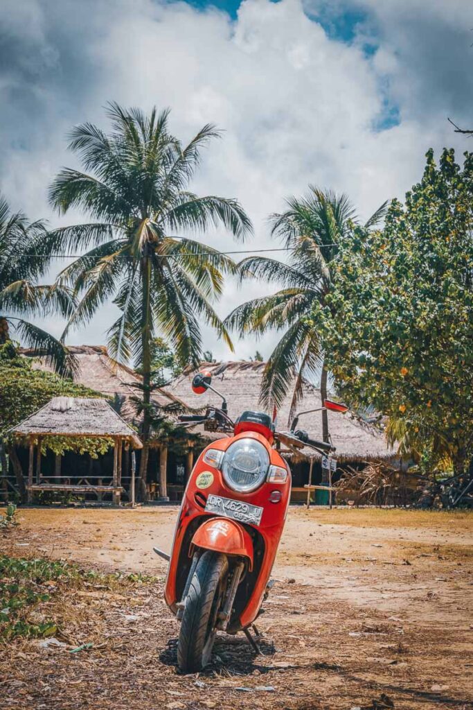 rental scooter by palm trees