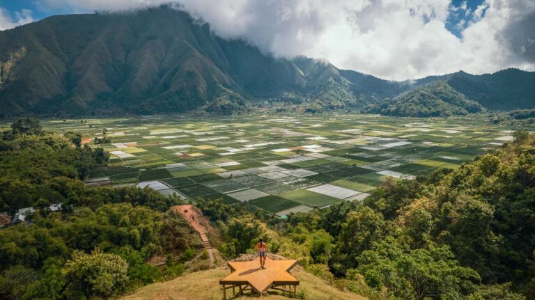 Nomadicated at the Bukit Selong Rice Field Viewpoint