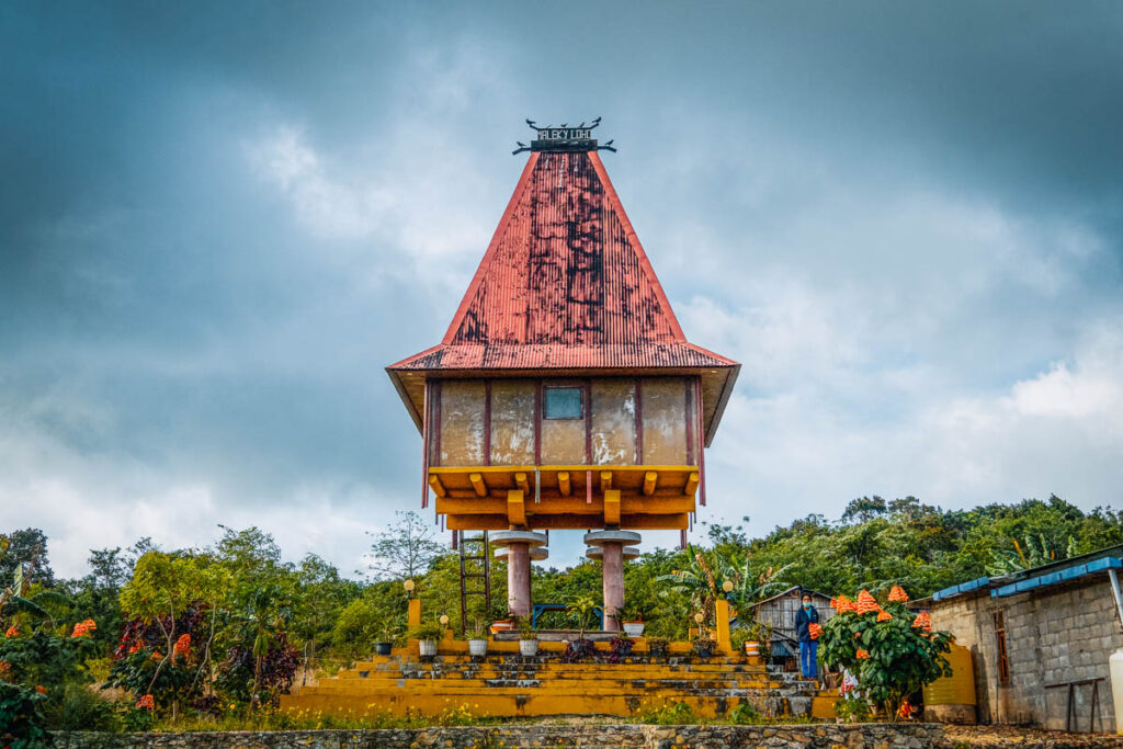 a timorese modern traditional treehouse