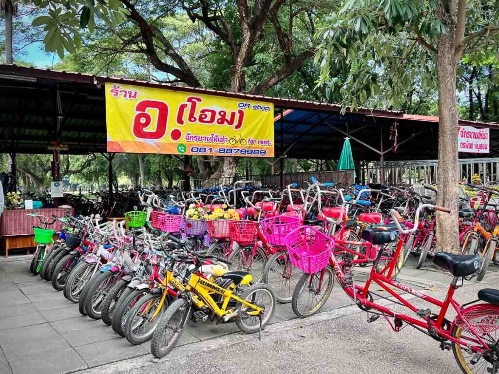 bicycle rental at sukhothai historical park
