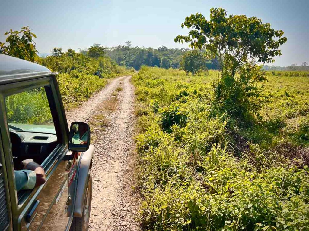 a jeep safari, one of the most common tours in chitwan national park