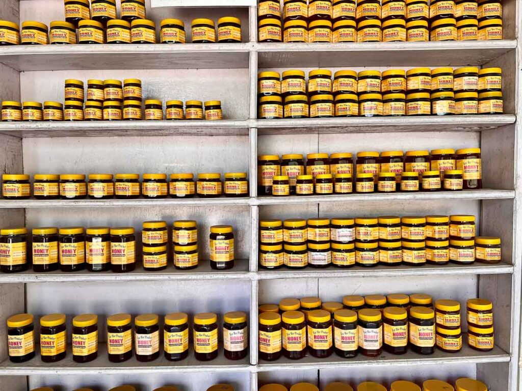 honey storefront in sauraha
