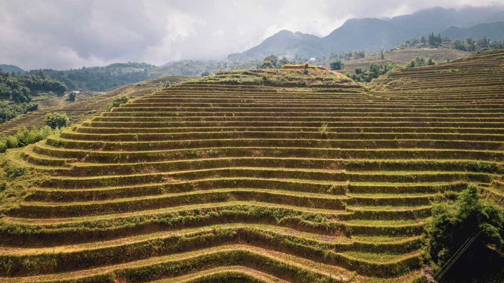 hiking the rice terraces in sapa one of the best things to do in northern vietnam