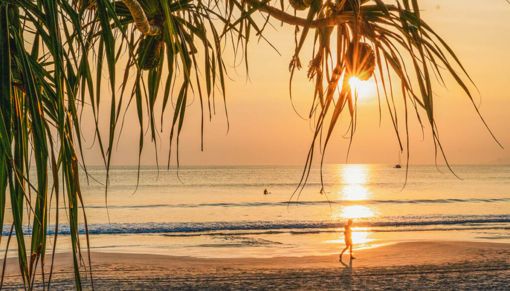 palm leaf Sunset over the Andaman Sea at Ao Yai Beach, Koh Phayam