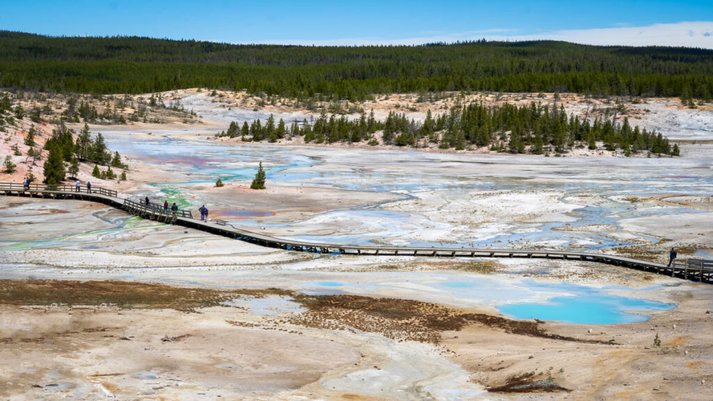 the bridge over the colorful geothermal area of norris geyser basin