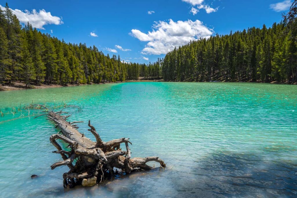 turquoise lake in yellowstone national park