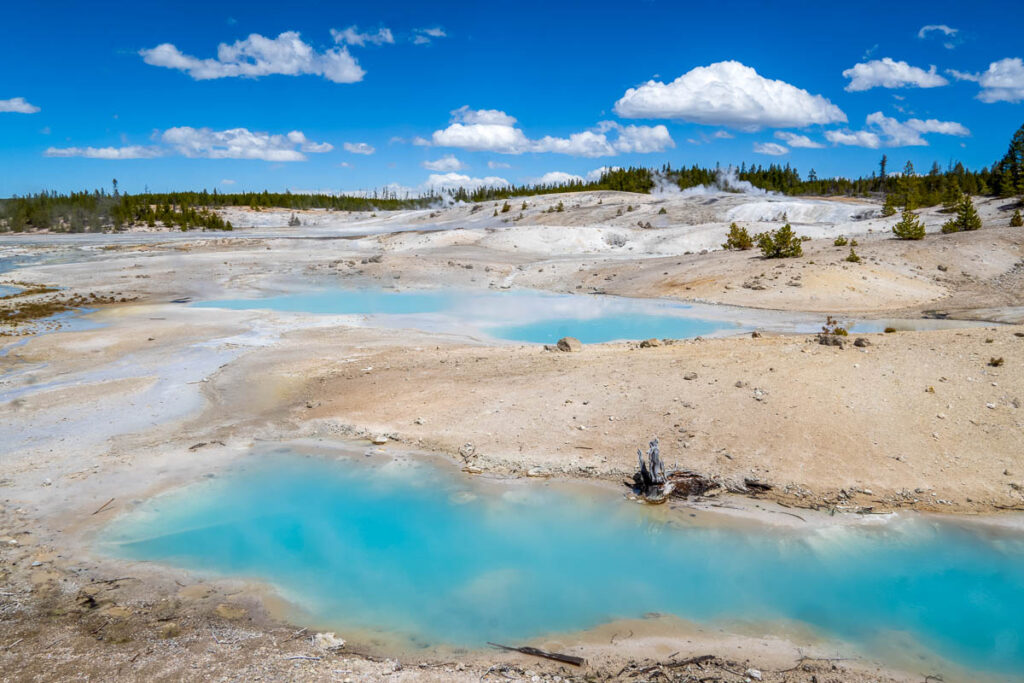 turquoise norris geyser basin geothermal pools in yellowstone national park on a tour from jackson