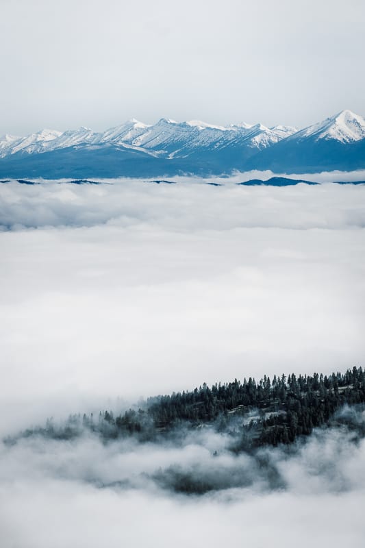 winter in yellowstone national park with fog in front of teton mountain range. 