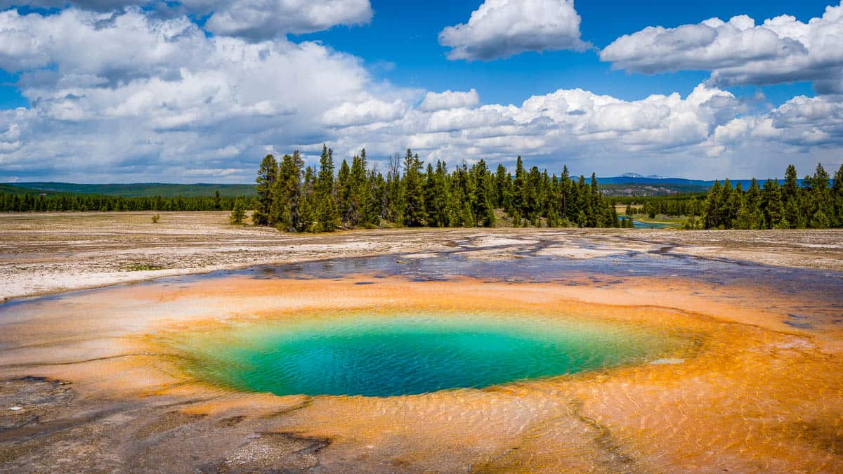 yellowstone national park tours from jackson hole