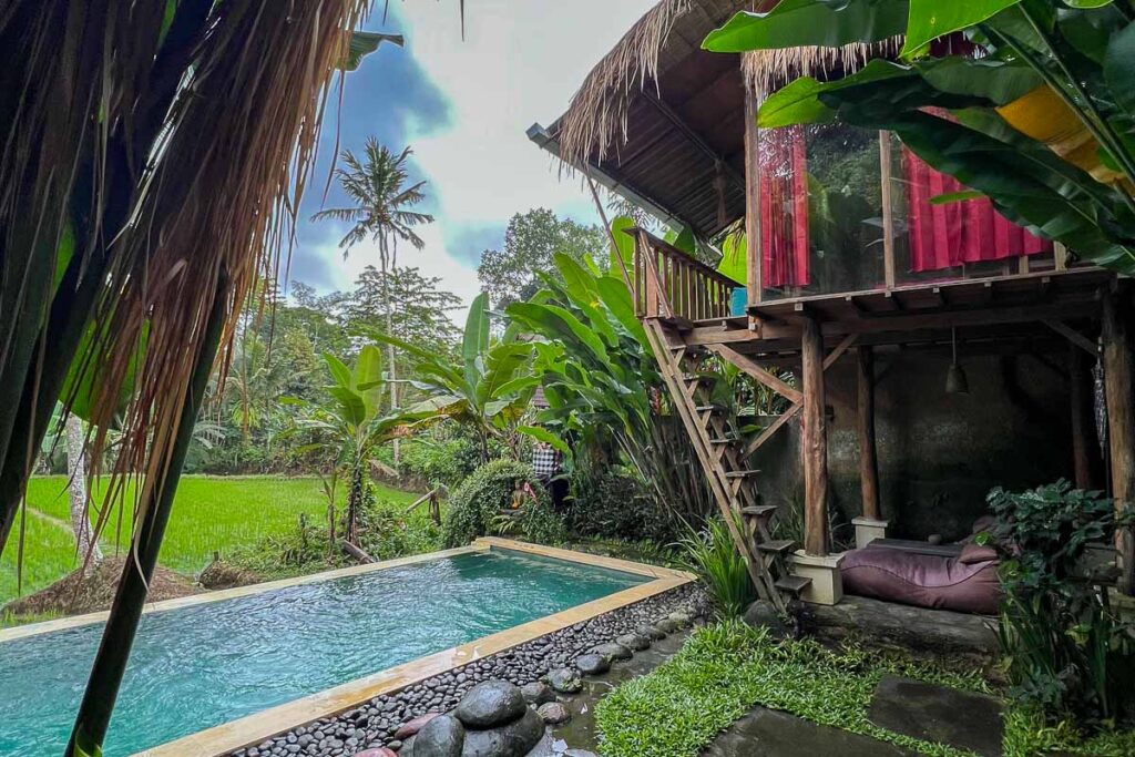 bali bamboo jungle huts and hostel pool and treehouse view