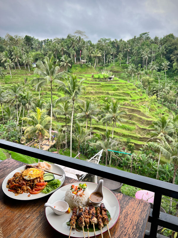 indonesian food from cafe overlooking the Tegalallang Rice Terraces