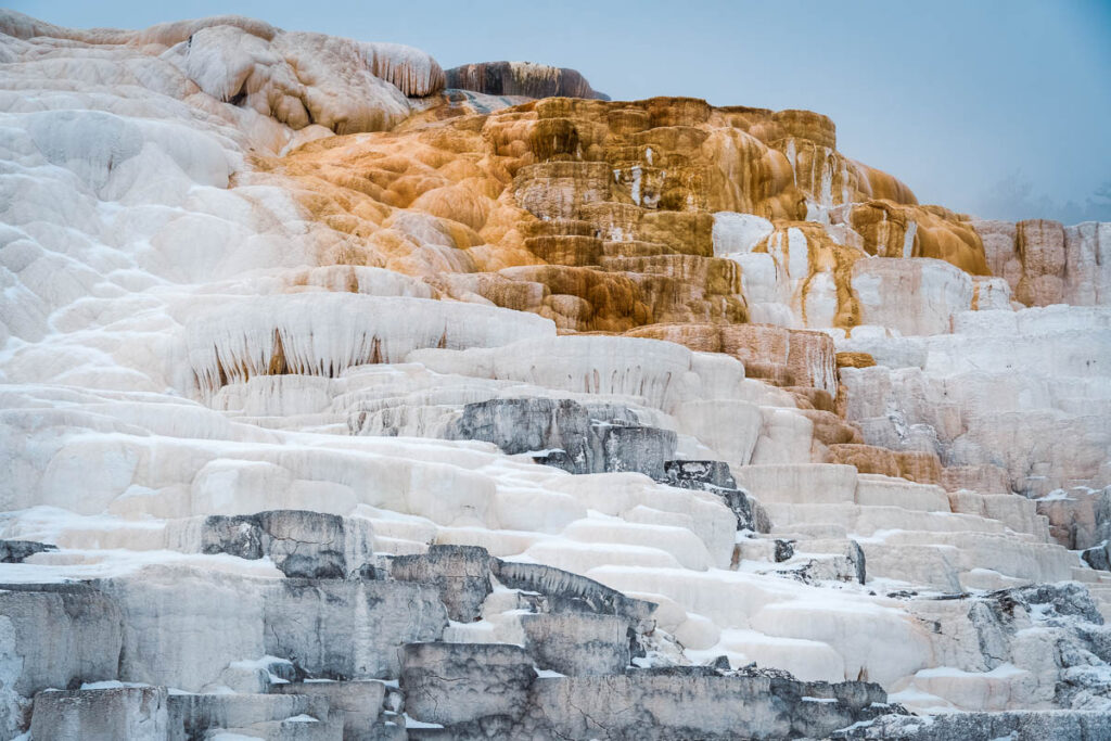 snowy mammoth hot springs on a upper loop yellowstone tour