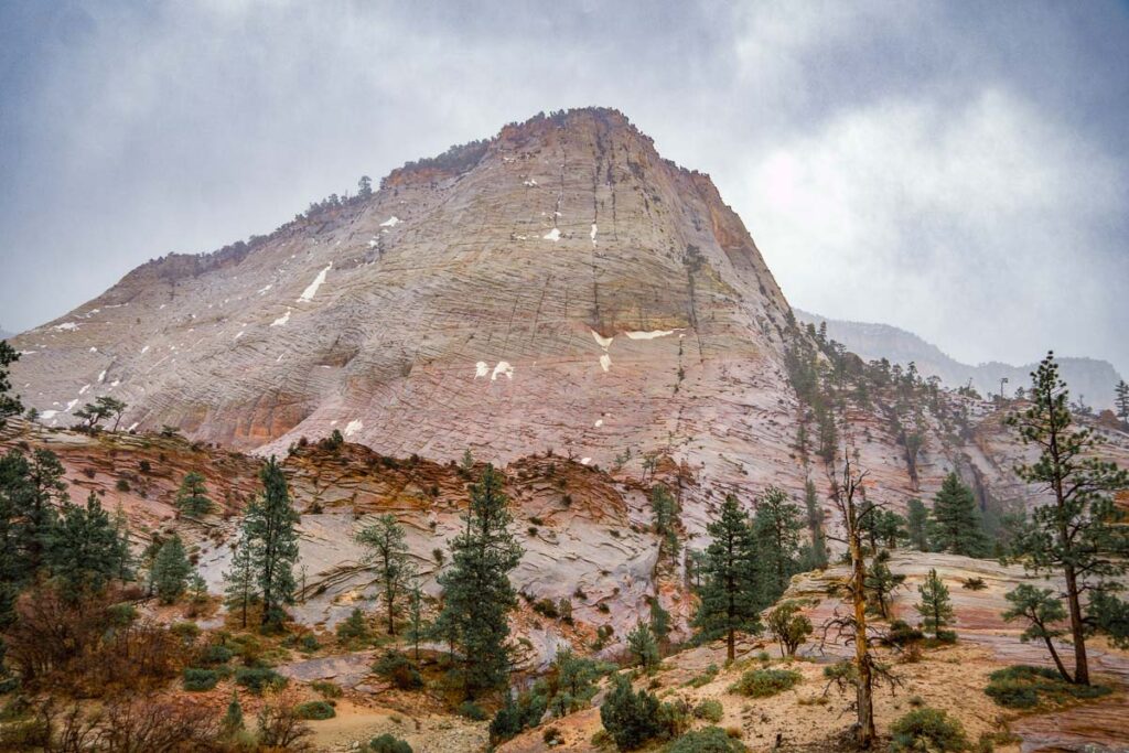 snowy day scene of zion national park