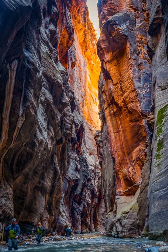 wading through the colorful canyons of the narrows, the best hike in zion national park