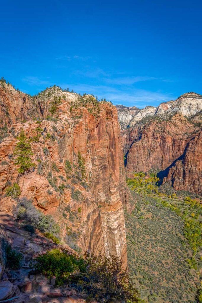 the summit cliff near the top of angels landing in zion np