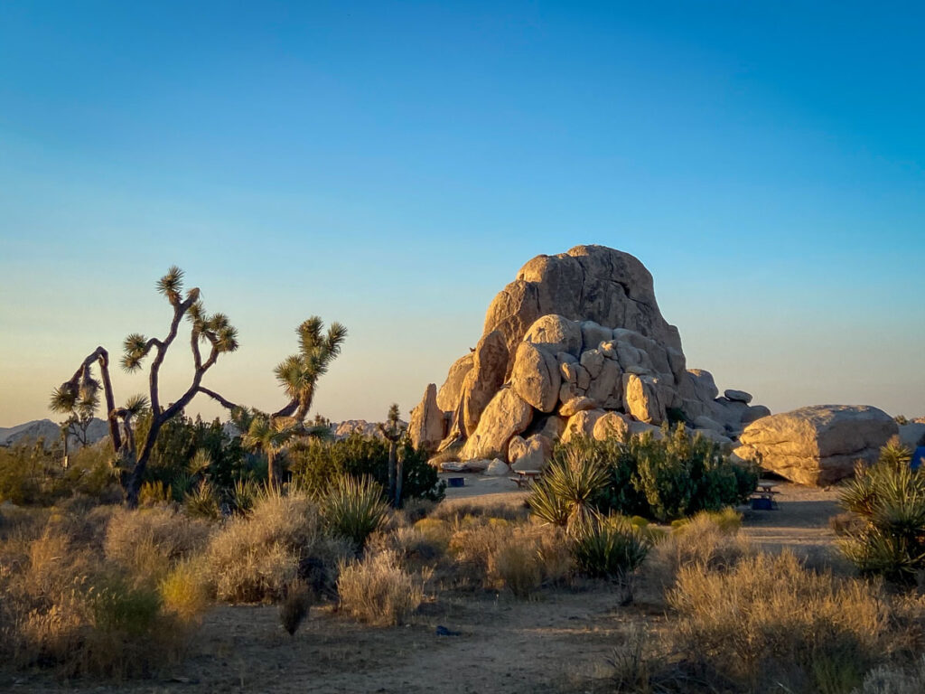 stack of rock mountain at joshua tree national park, where new york vs los angeles, there are no national parks in the tri-state area 