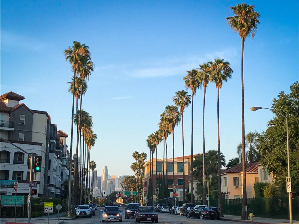 Palm tree lined streets in Los Angeles
