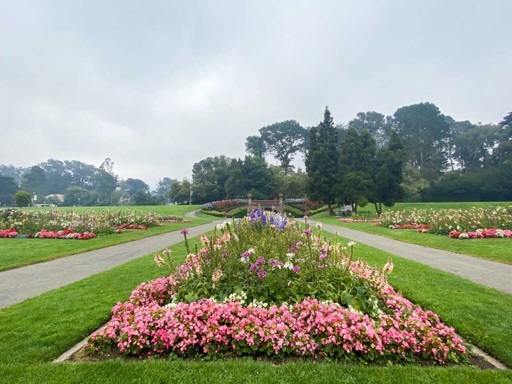 golden gate park flower gardens in san francisco
