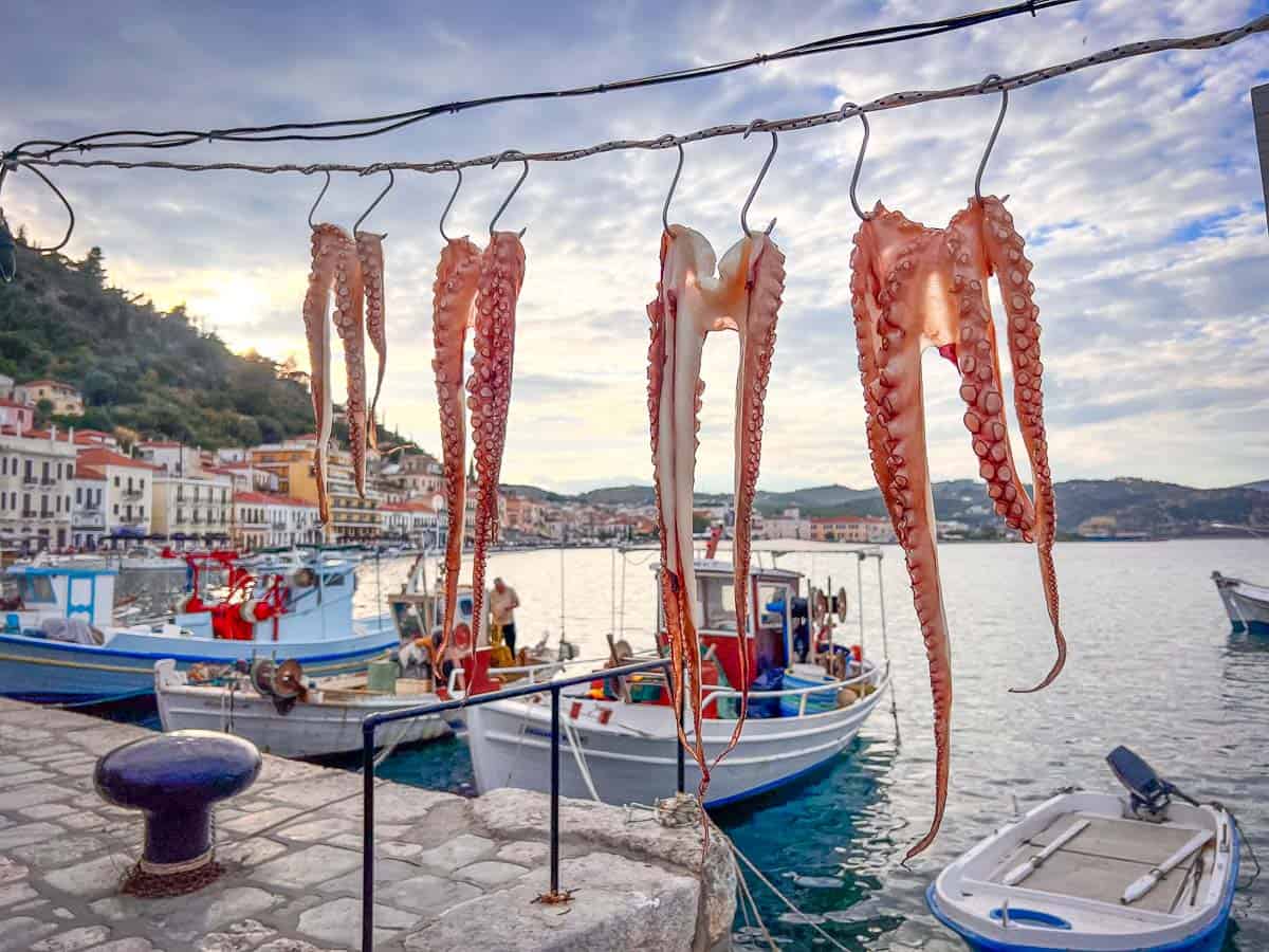 hanging octopus in pelopponese road trip, greece