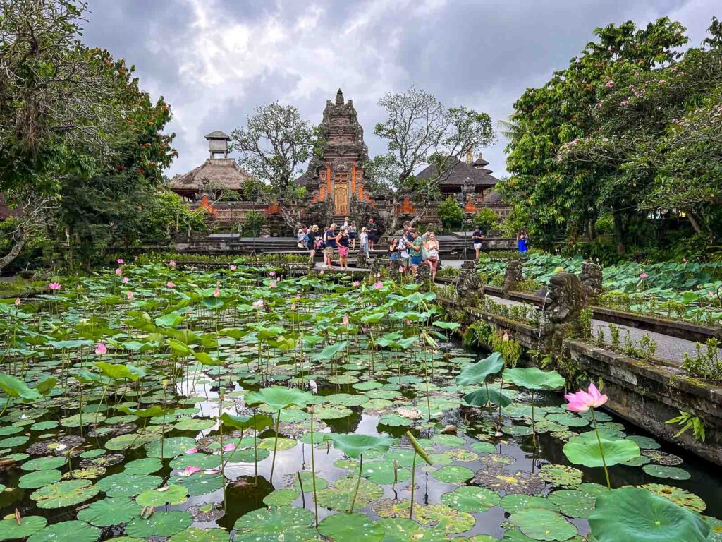 the ubud palace with all the lily pads