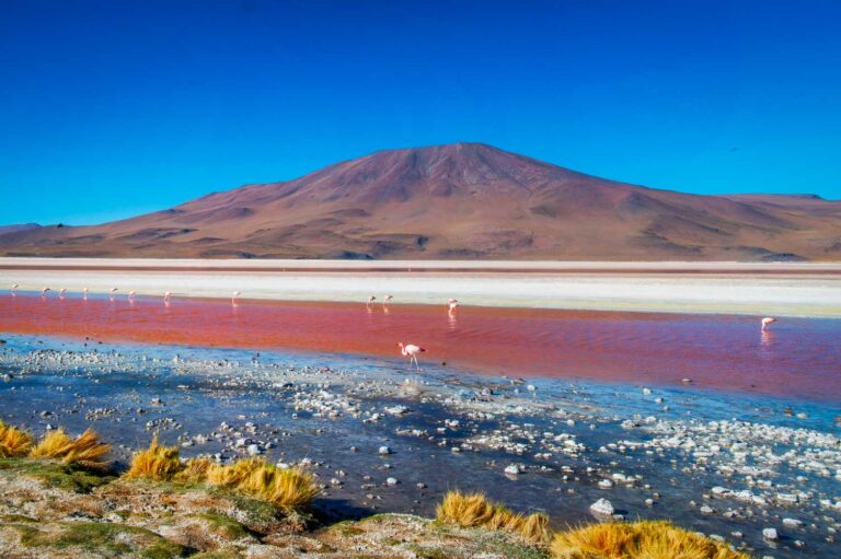 Red waters of Laguna Colorado Bolivia