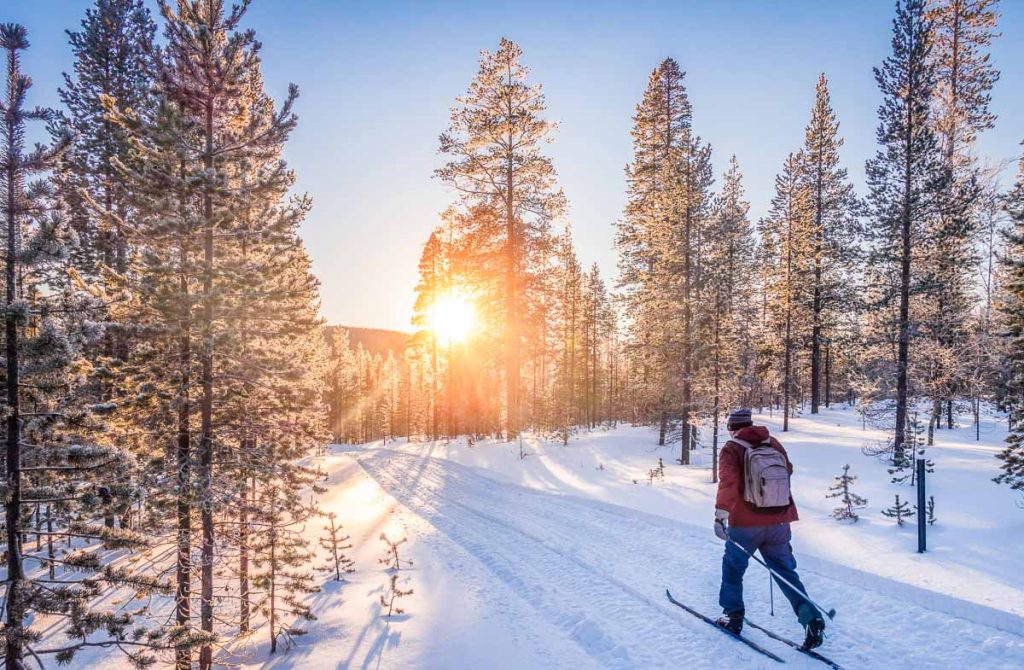 Finland, Lapland, panoramic winter scene of a cross-country skier gliding along a snowy forest trail