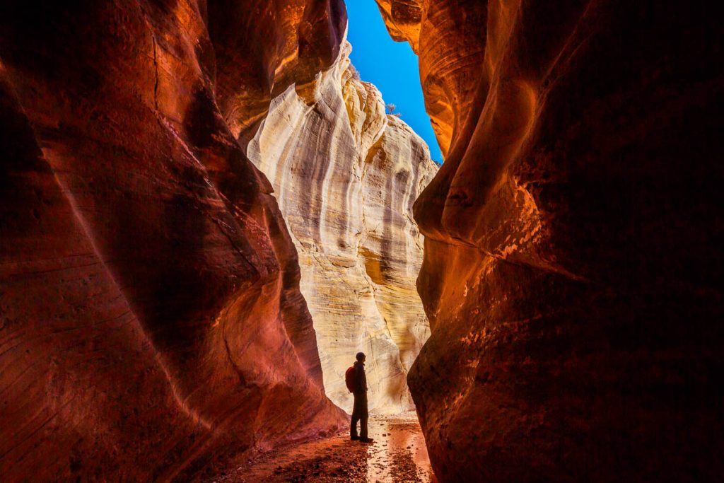 Slot canyon in Grand Staircase Escalante National park, Utah, USA. Unusual colorful sandstone formations in deserts of Utah are popular destination for hikers.