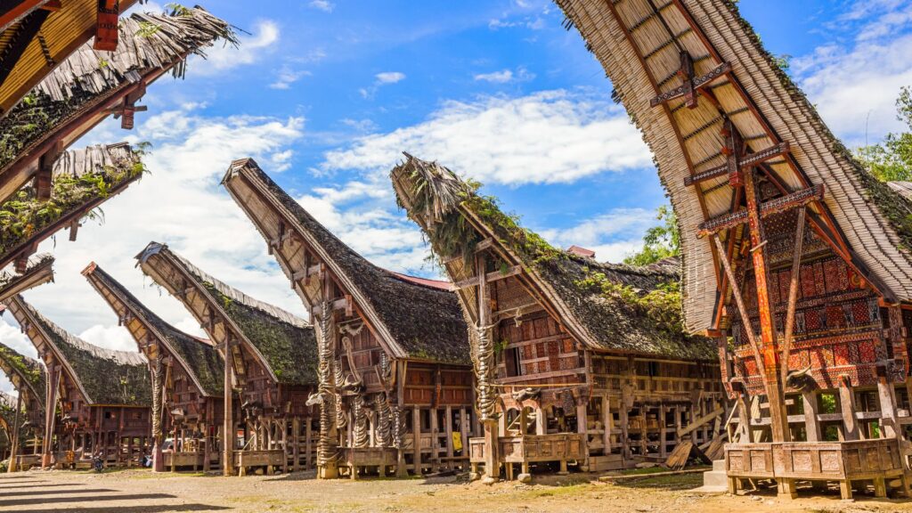 Indonesia, Tongkonans Torajan Ancestral Houses South Sulawesi