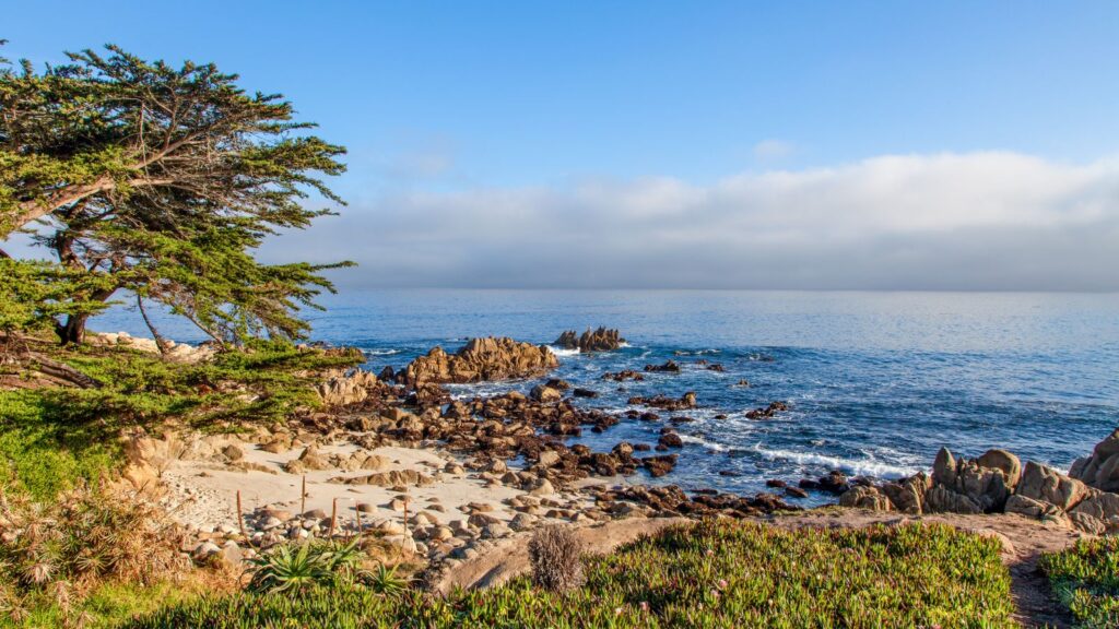 California, Monterey Bay