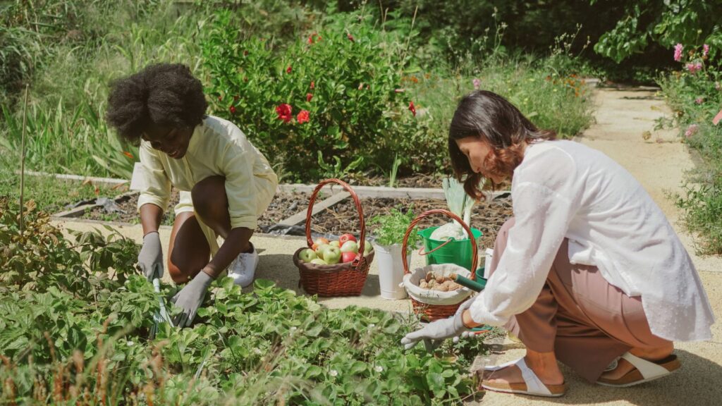 Community-Based Tourism, two girls harvesting