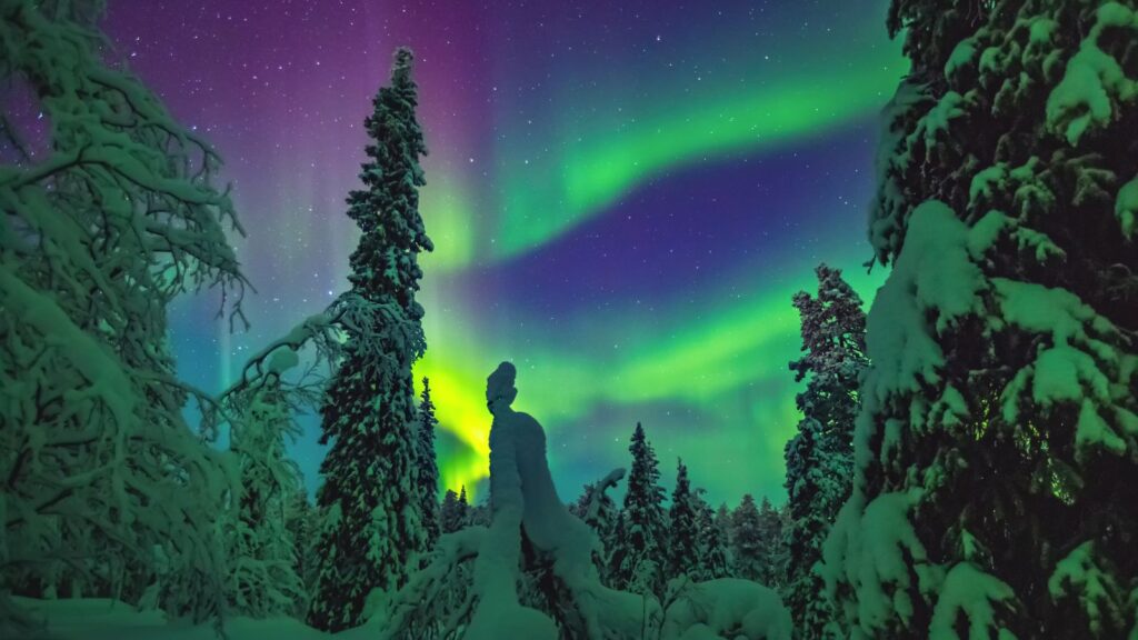 Nothern lights over Lapland, Finland